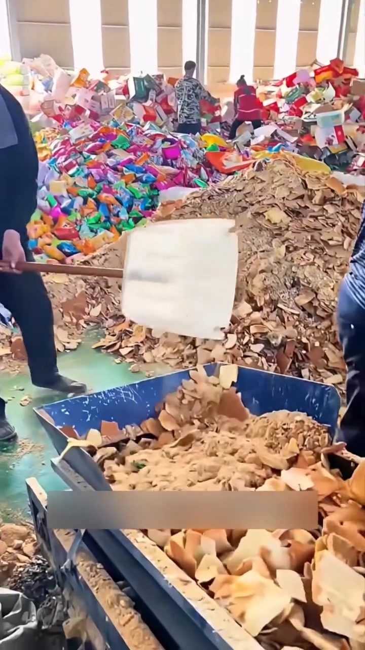 The Journey of Expired Food: From Landfills to Valuable Feed