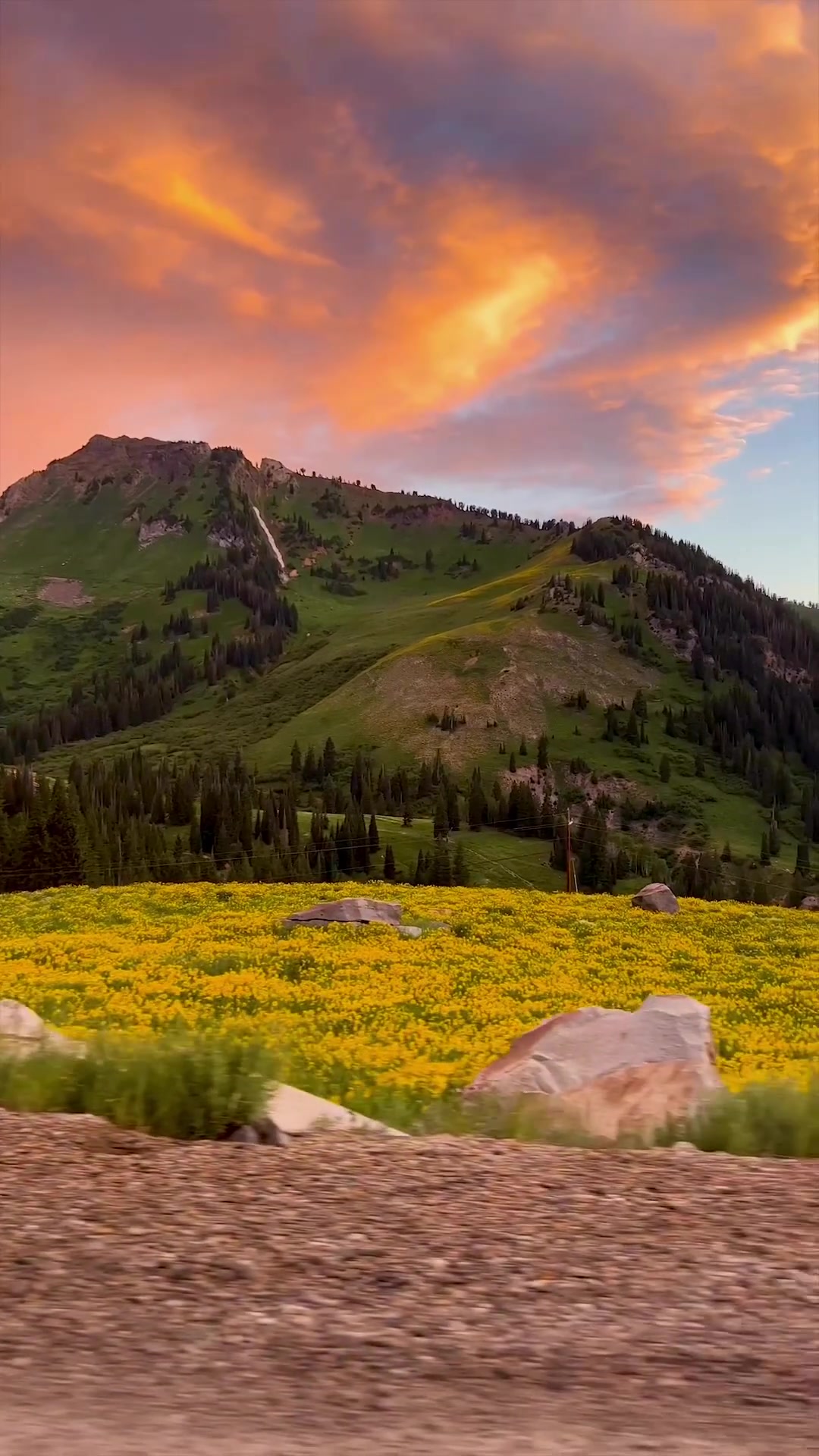 Mountain Sunset Landscape: Vibrant Field and Sky