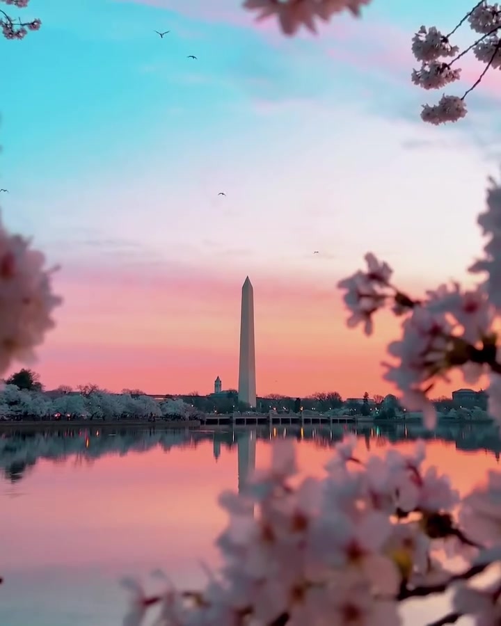 Washington D.C.