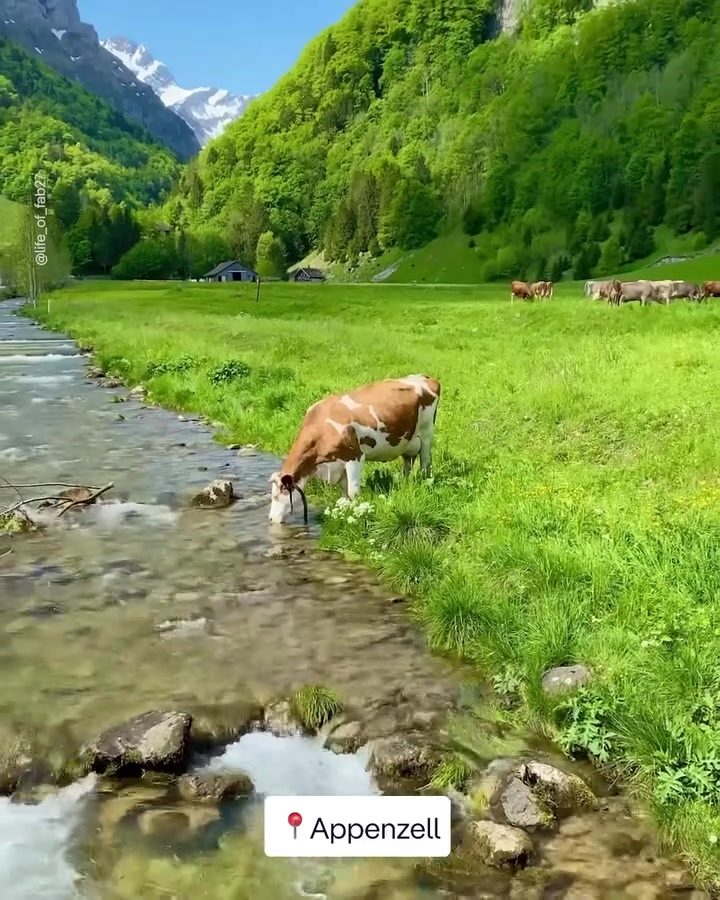 Swiss Villages: Authentic Summer Getaways in Alpine Paradise