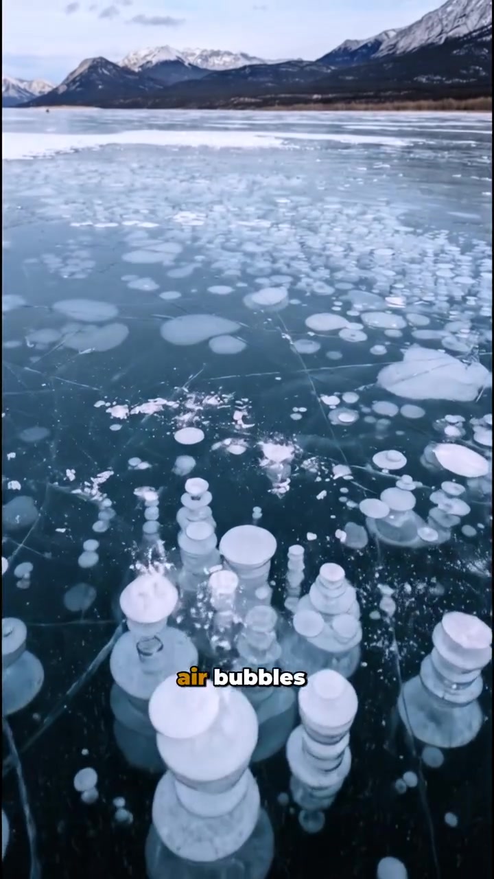 Frozen Lake Columns: Bighorn Valley Mystery