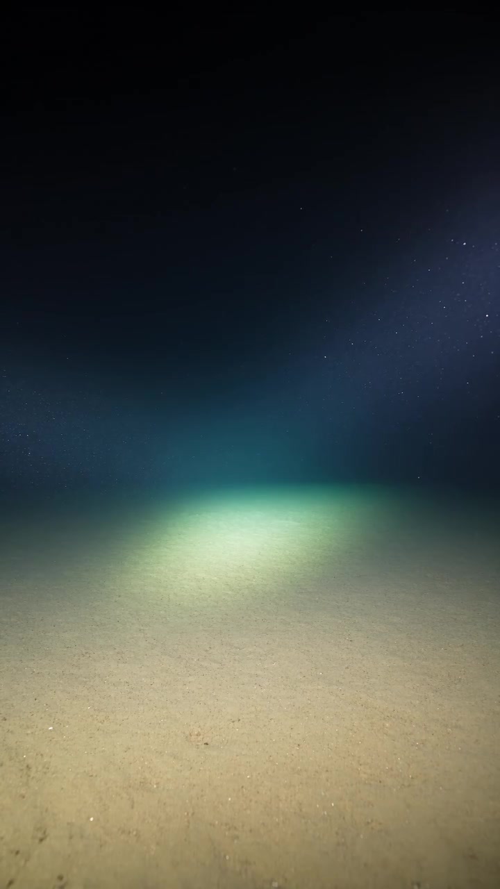 Deep Ocean Life at Challenger Deep