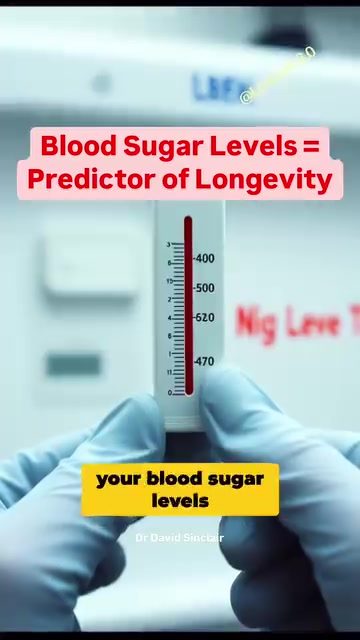 Dr. Sinclair's Metformin Regimen: The Key to Longevity