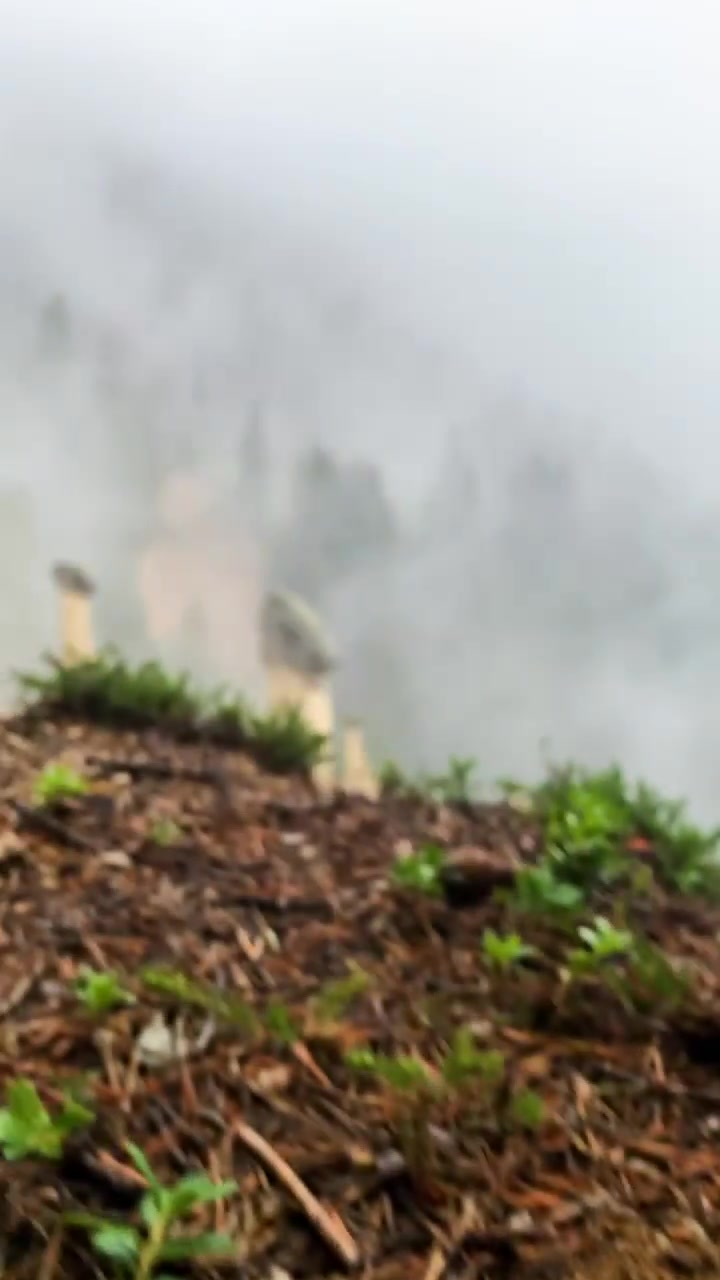 Misty Mountain Landscape with Unique Rock Formations