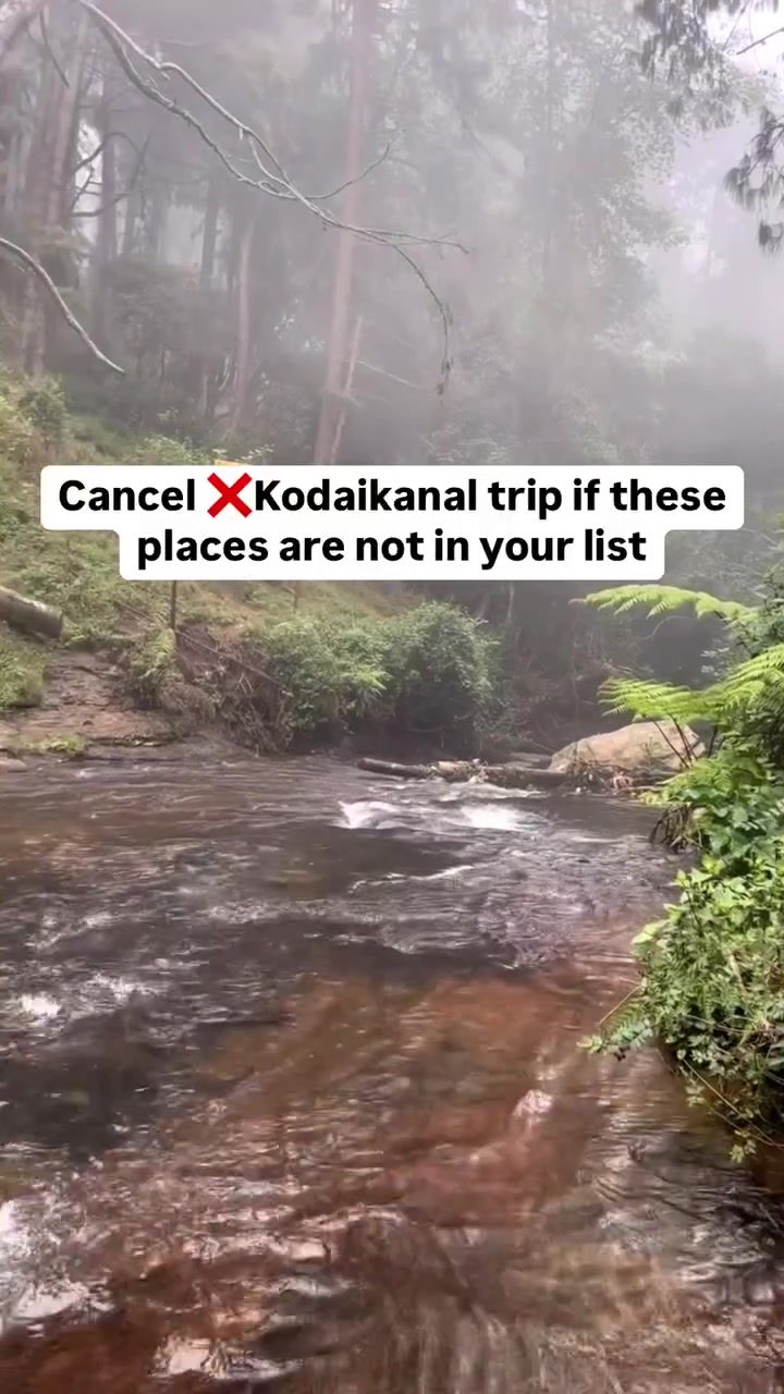 ## Must-Visit Spots for an Unforgettable Kodaikanal Trip