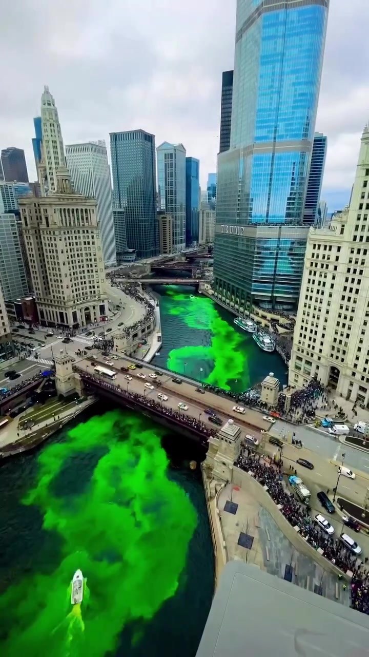 Chicago River Dyeing: St.