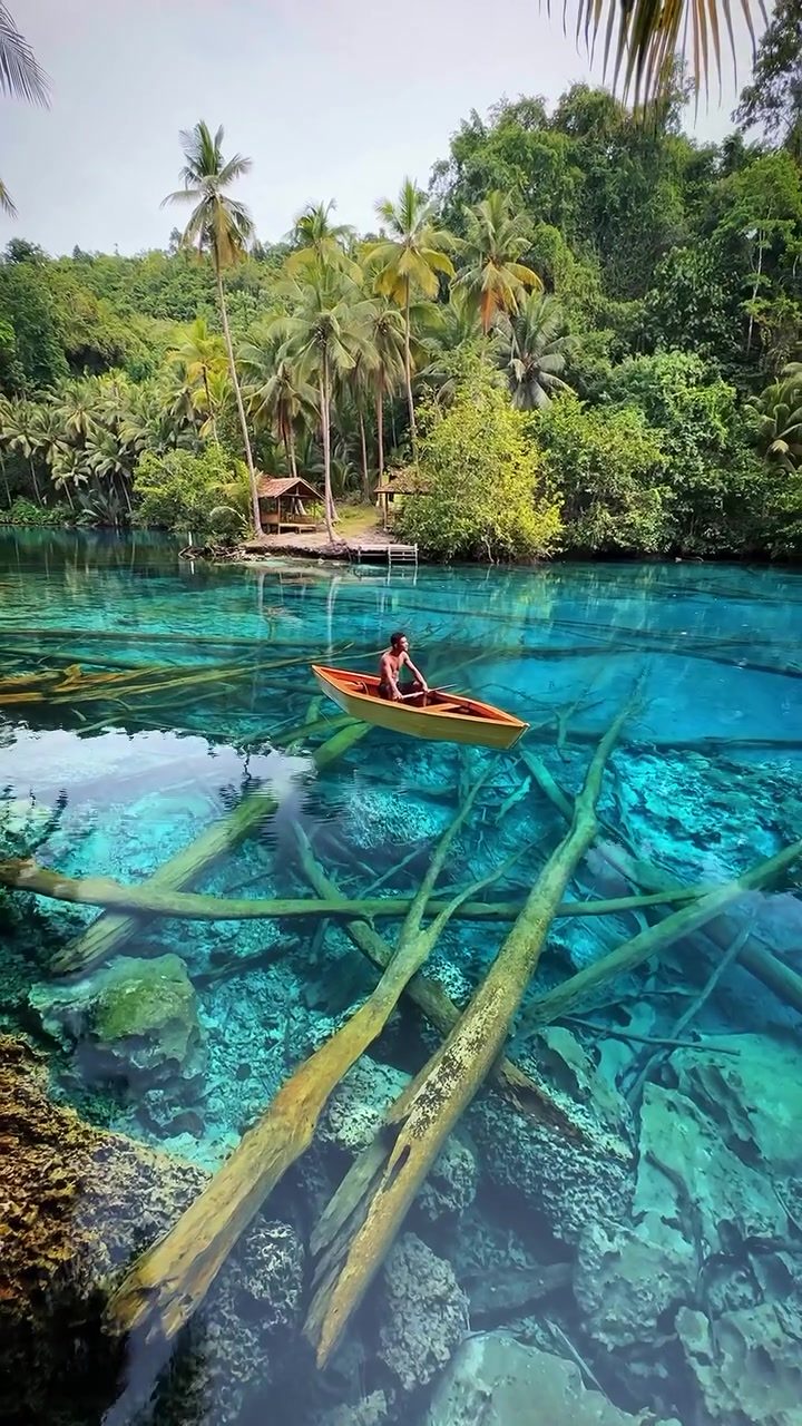 Exploring the Crystal Clear Waters of Paisupok Lake, Sulawesi