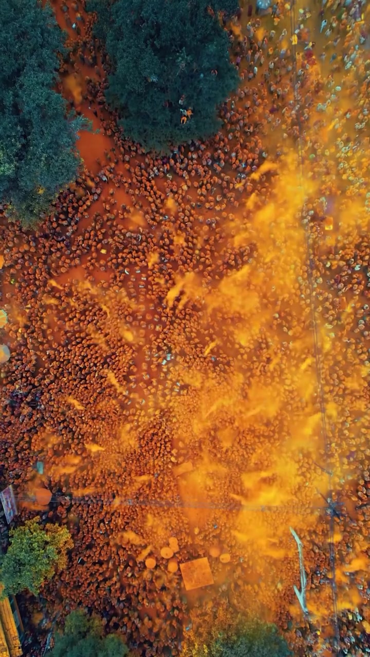 Holi Festival: Aerial View of Vibrant Celebration