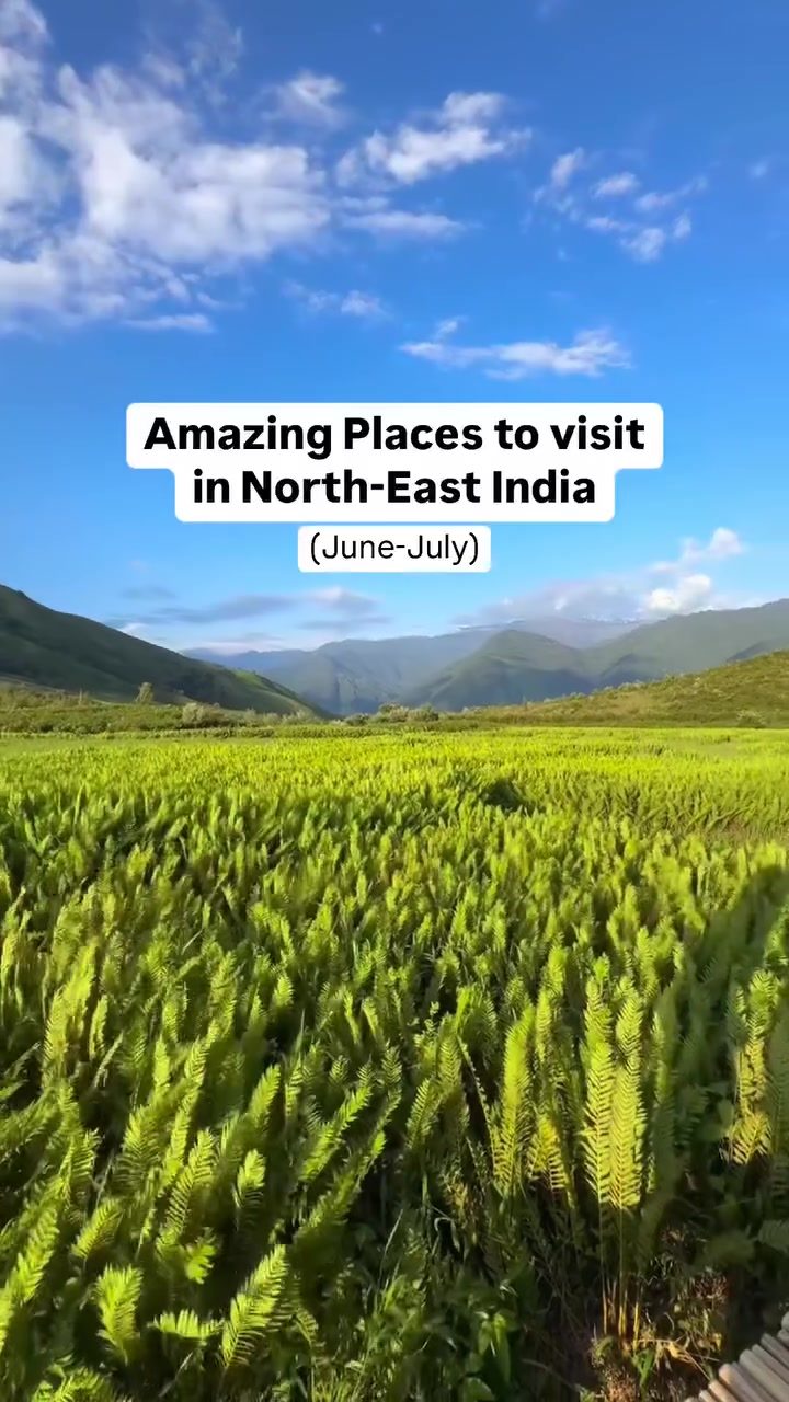 Top Must-See Destinations in North-East India