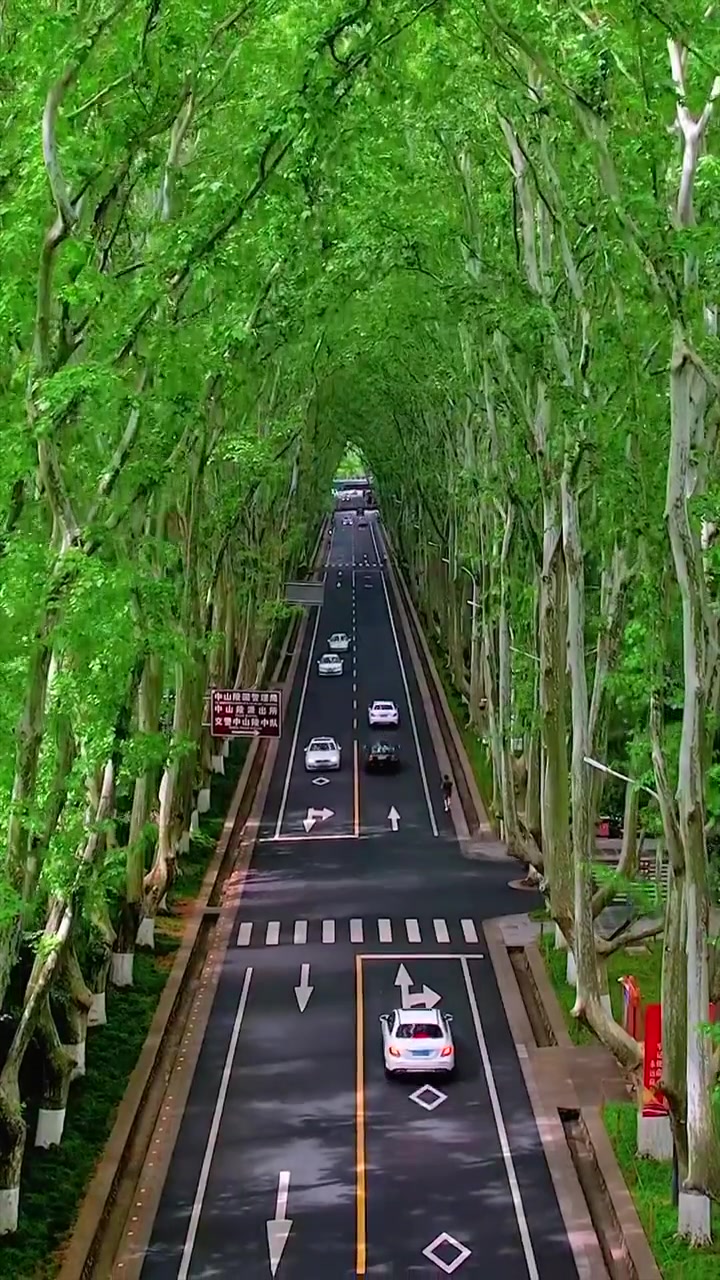 Zhongshan Road's Scenic Tunnel Drive