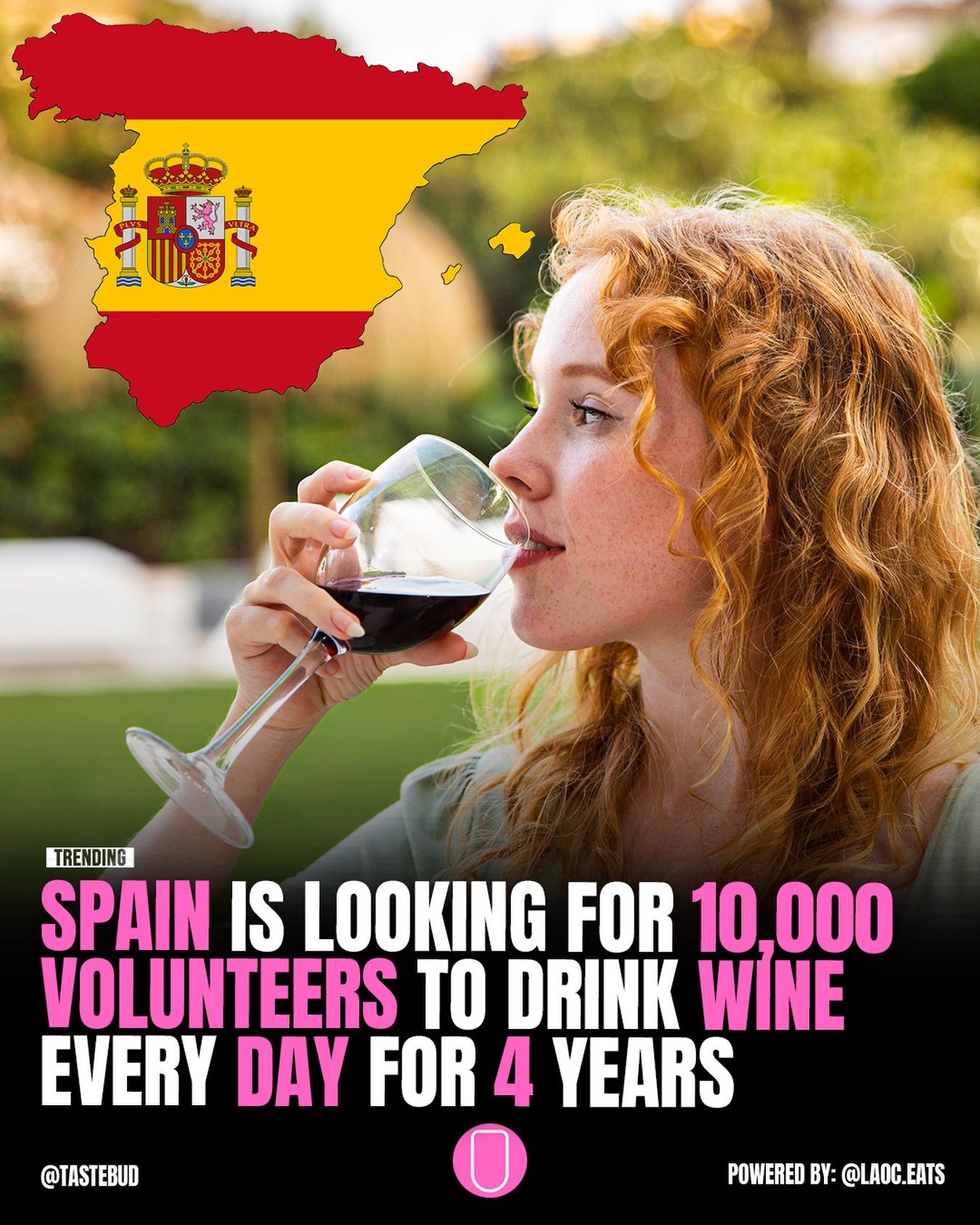 Drink Wine and Volunteer: Spain’s 4-Year Research Study
