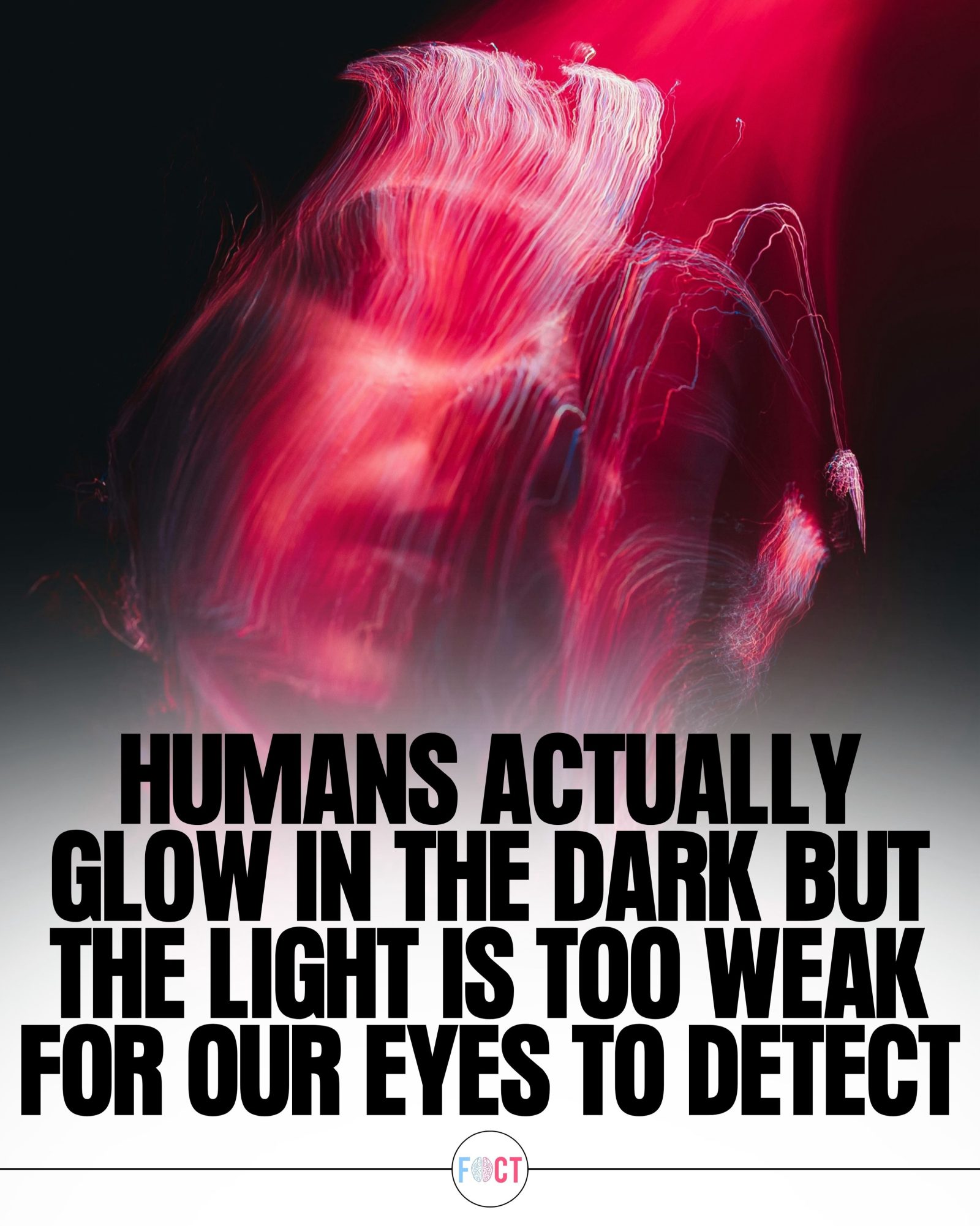 Humans Naturally Glow: The Science Behind Bioluminescence