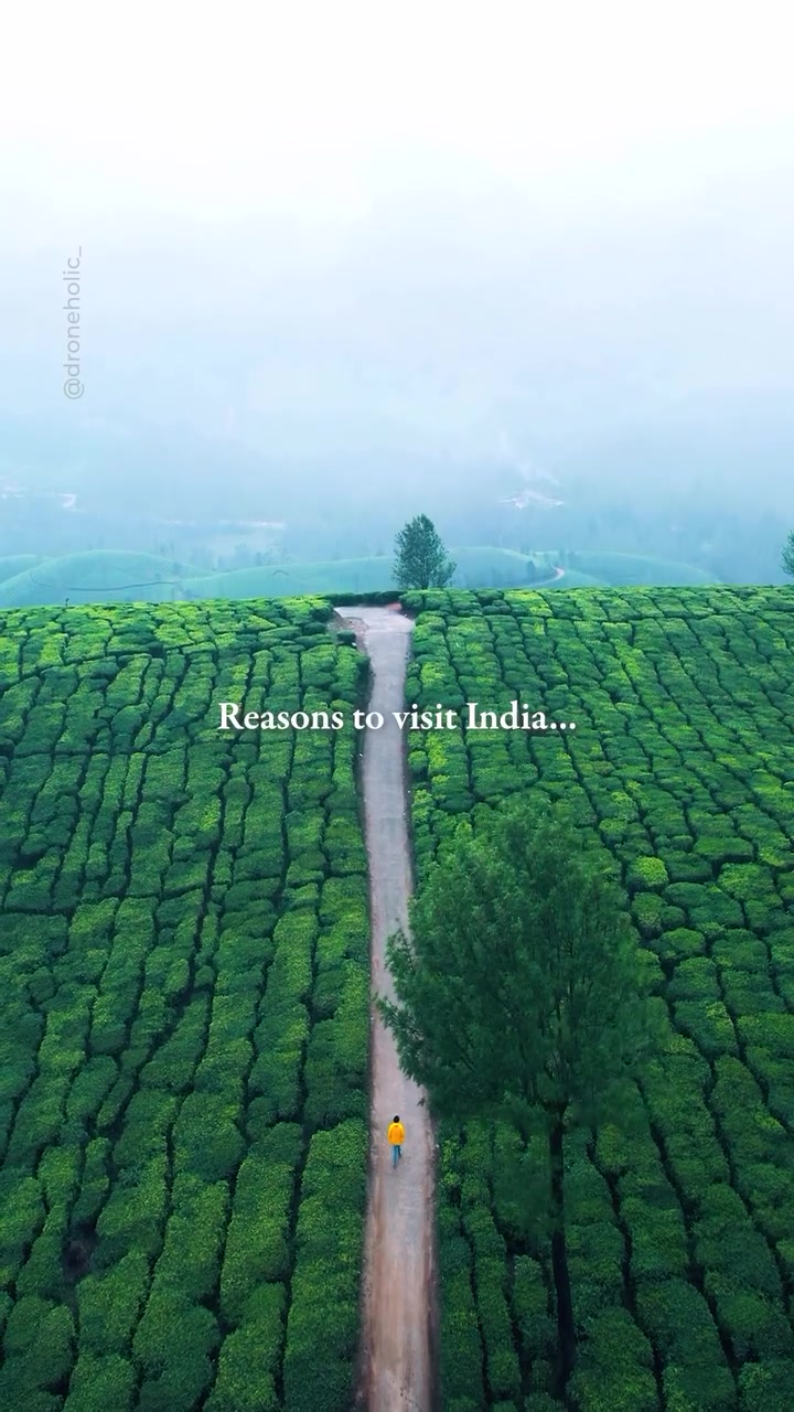 Kerala's Top Travel Spots: Munnar, Alleppey, and More