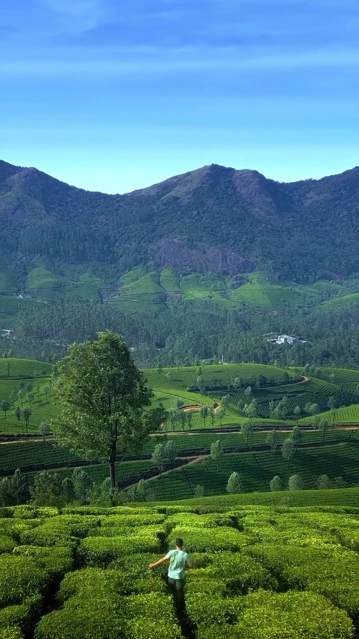 Munnar Tea Plantations: India's Beautiful Landscapes