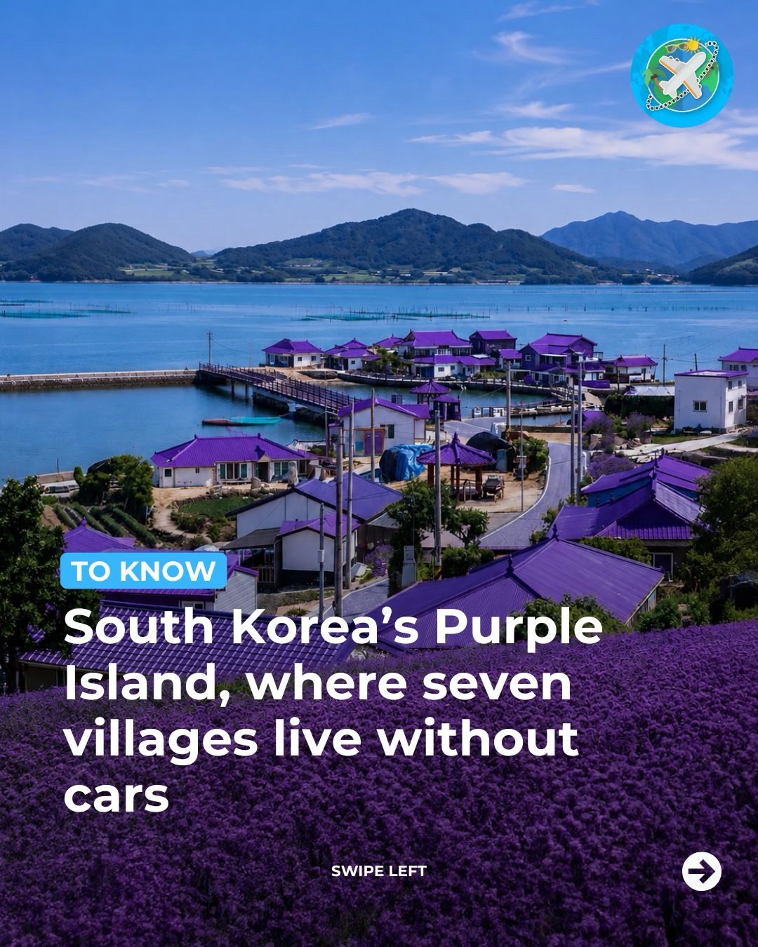 Discover South Korea's Car-Free Purple Island: A Vibrant Travel Gem