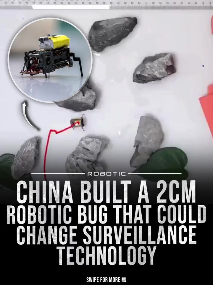 China's 2cm Robotic Insect Revolutionizes Micro Robotics