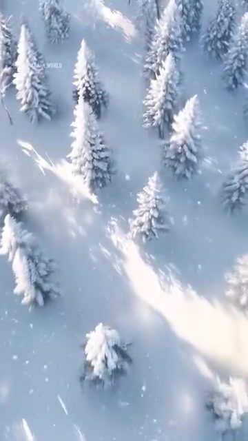Exploring Winter Landscapes and Geodesic Domes