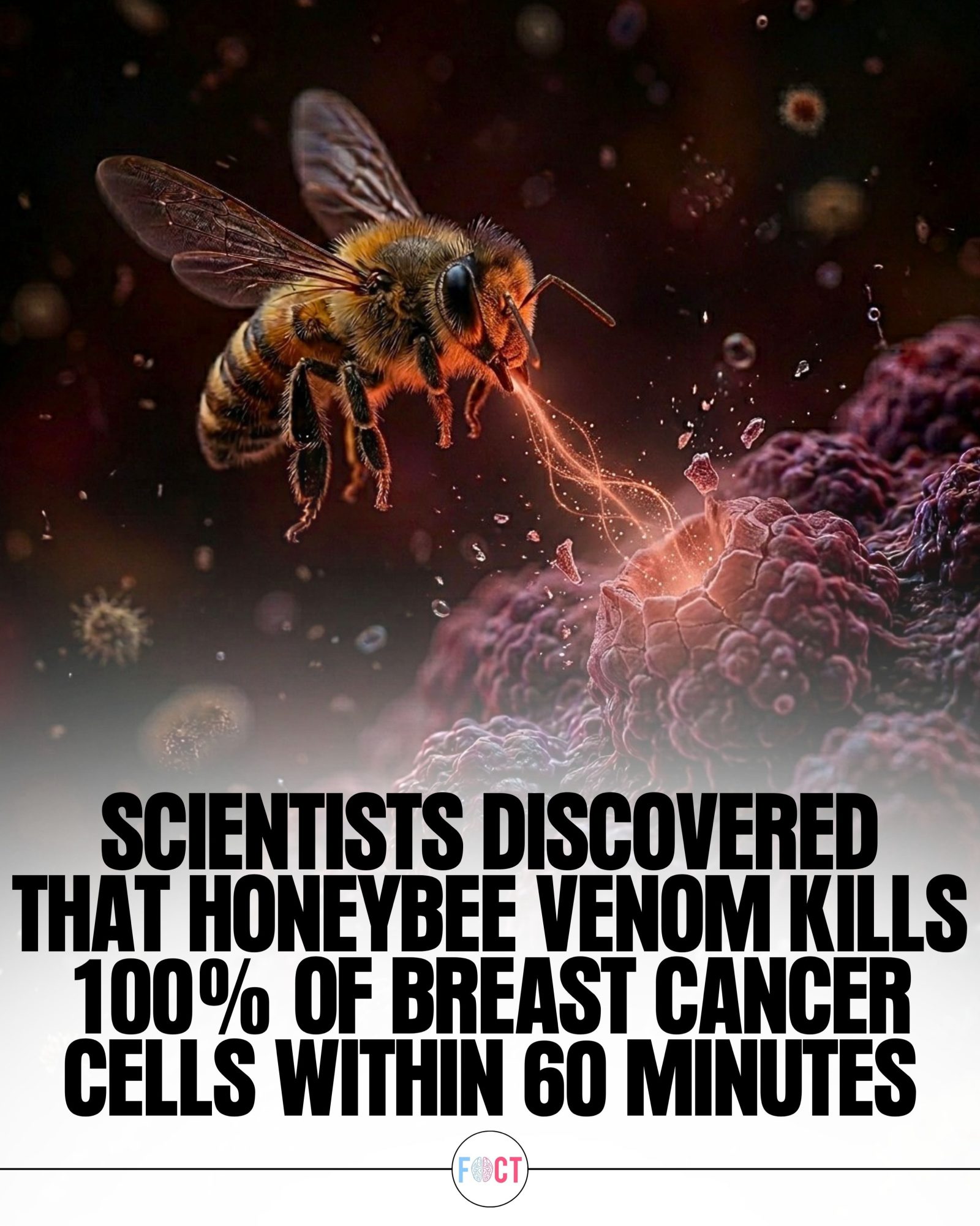 Honeybee Venom's Rapid Effect on Breast Cancer Cells
