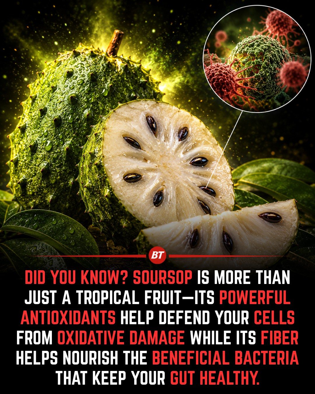 Soursop's Surprising Benefits for Gut and Cell Health