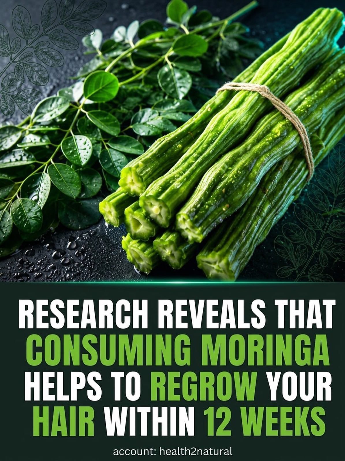 Moringa for Hair: A Nutrient-Based Approach to Hair Regrowth