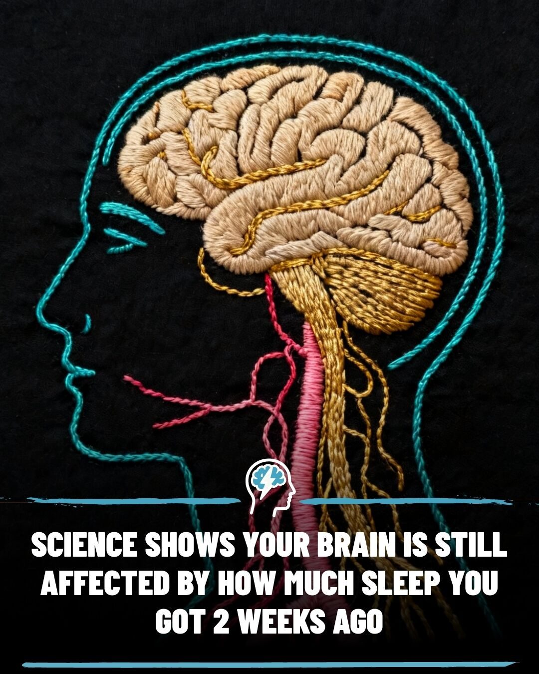 Sleep Habits Shape Your Brain for Up to 15 Days