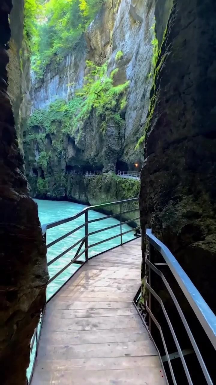 Scenic Gorge Walkway: Turquoise River and Lush Greenery