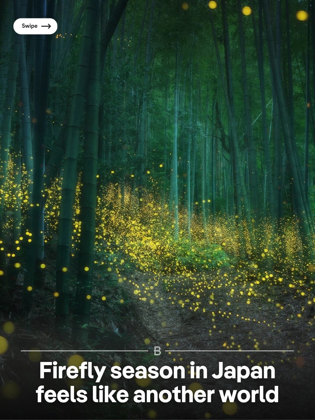 Magical Firefly Season in Japan’s Kyushu