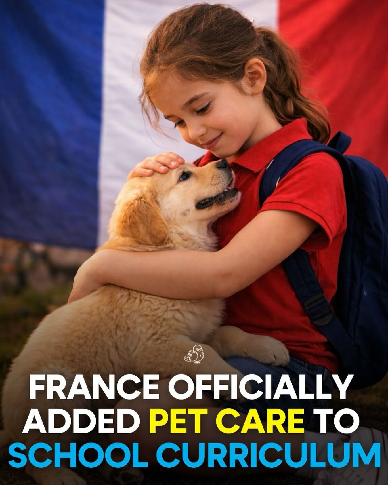 France's New School Curriculum: Teaching Pet Care for Empathy and Responsible Ownership