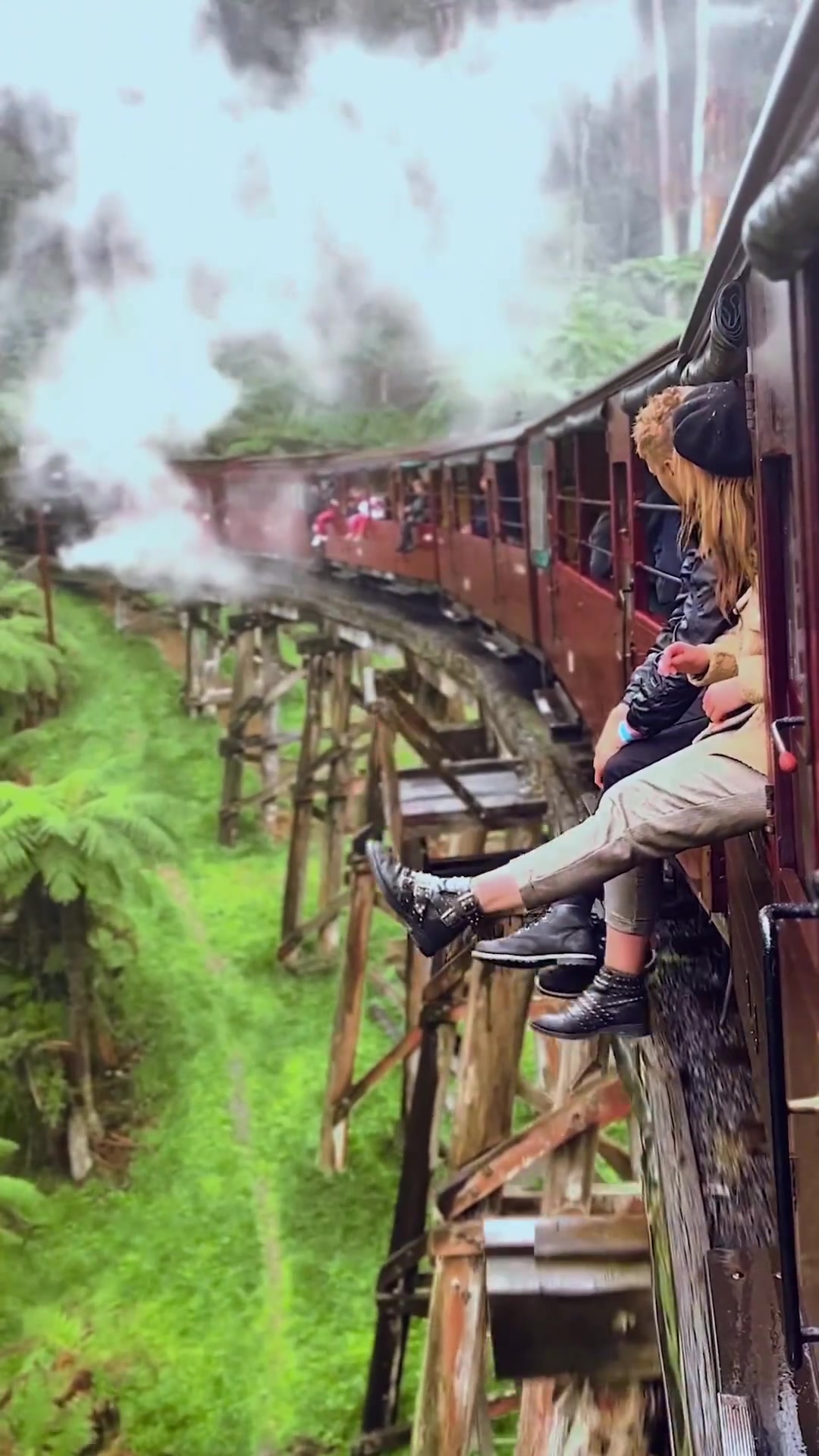 Scenic Train Ride Through Rainy Forest