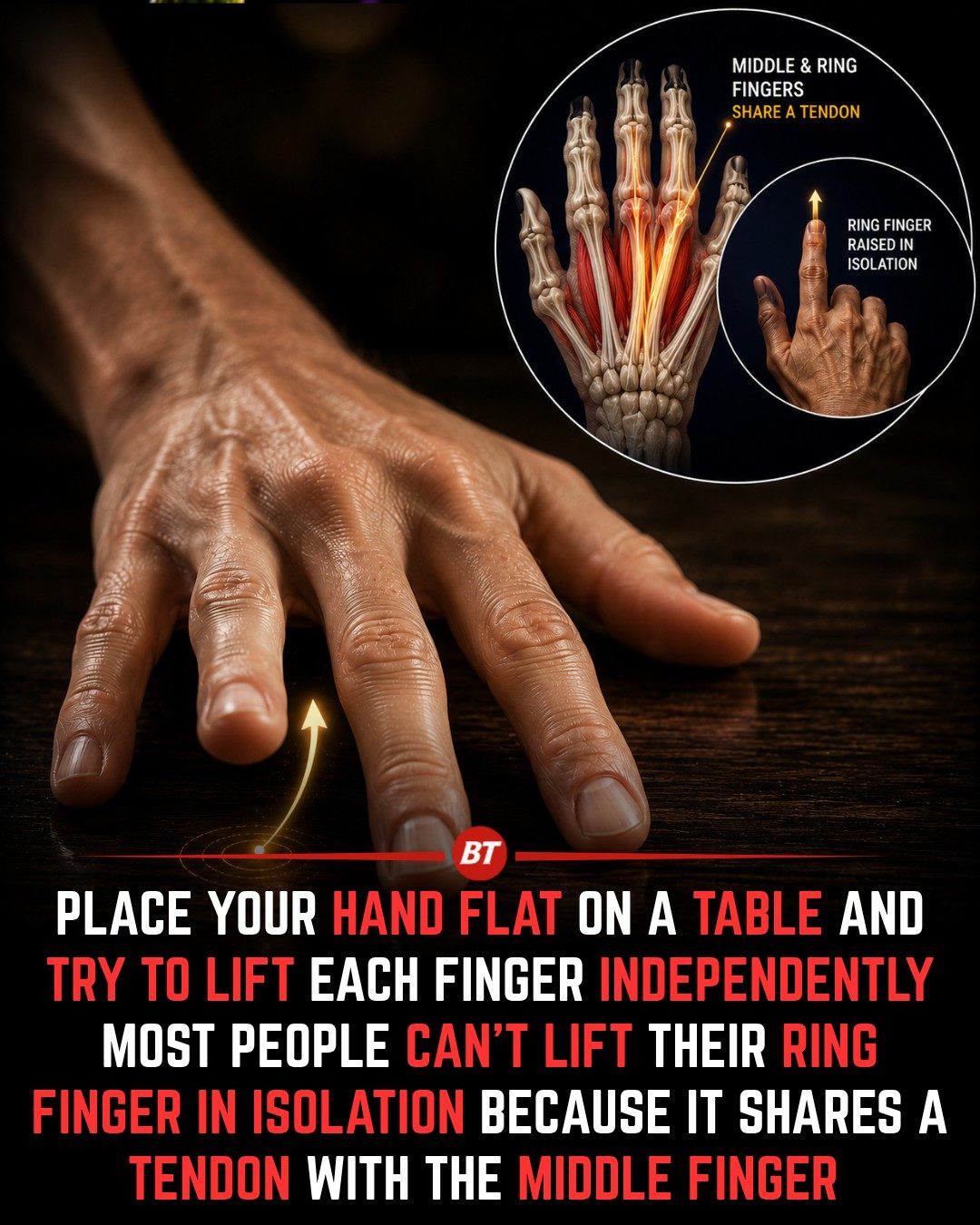 The Surprising Reason You Can't Lift Your Ring Finger Alone