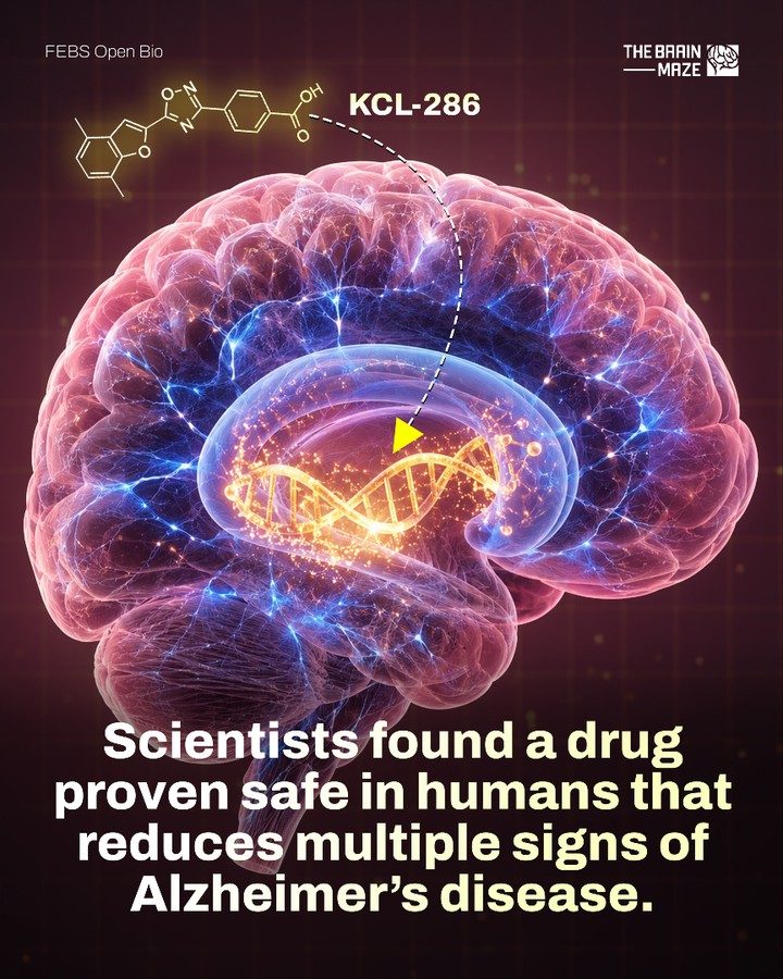 Promising Drug KCL-286 Shows Alzheimer's Hope in Mice