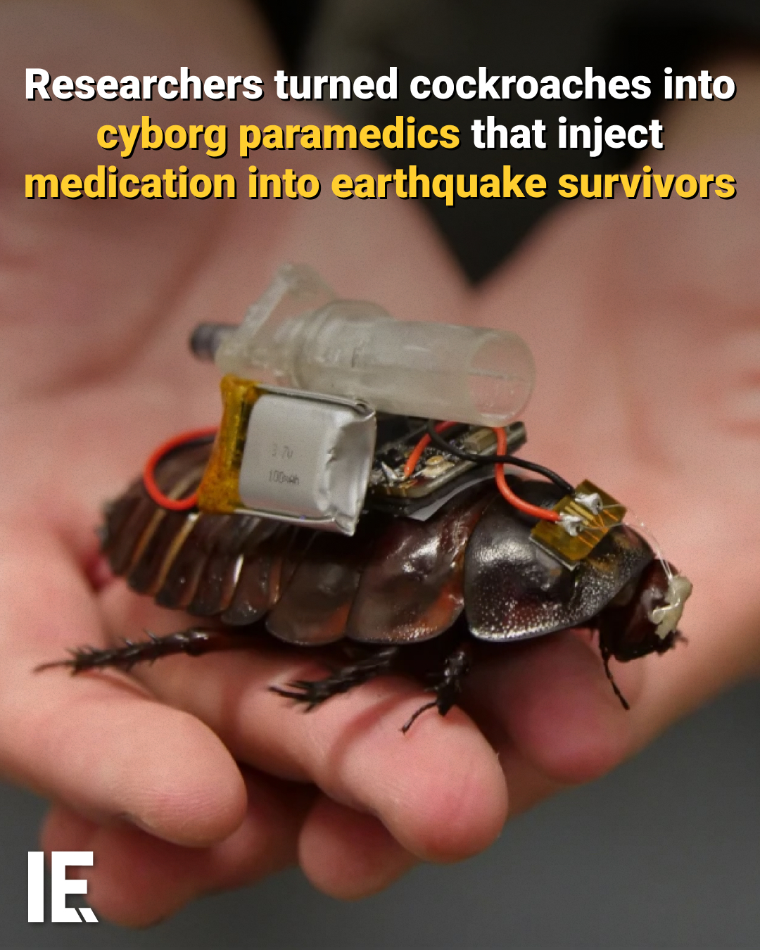 Cyborg Cockroaches for Earthquake Disaster Relief