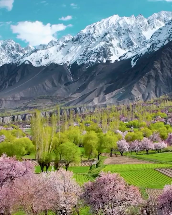 Chunda Valley's Blossoming Beauty in Skardu