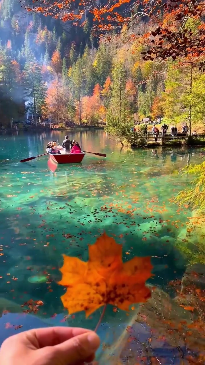 Autumn Lake Scene with Rowboat and Maple Leaf