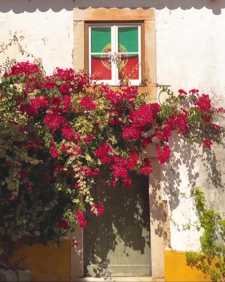 Portuguese Architecture with Bougainvillea Flowers