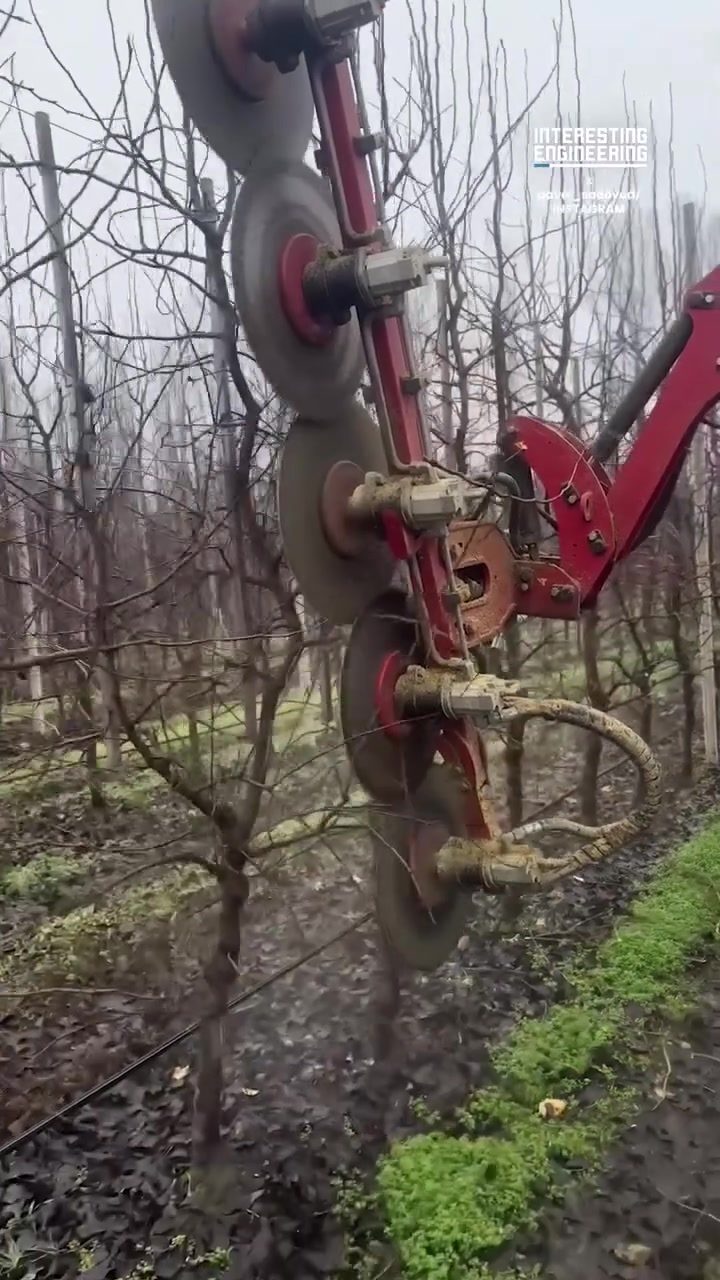 How Tractor-Mounted Pruning Machines Boost Orchard Fruit Yield