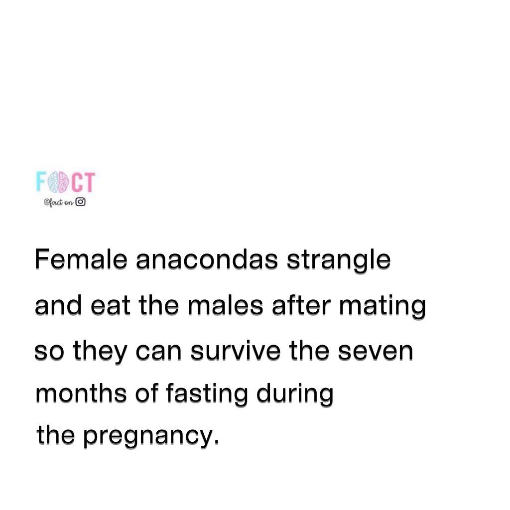 The Dark Side of Anaconda Mating: Females Eat Males to Survive