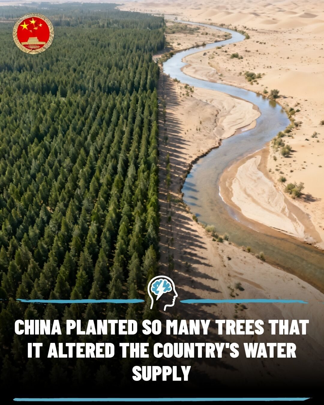 The Environmental Consequences of China's Massive Reforestation