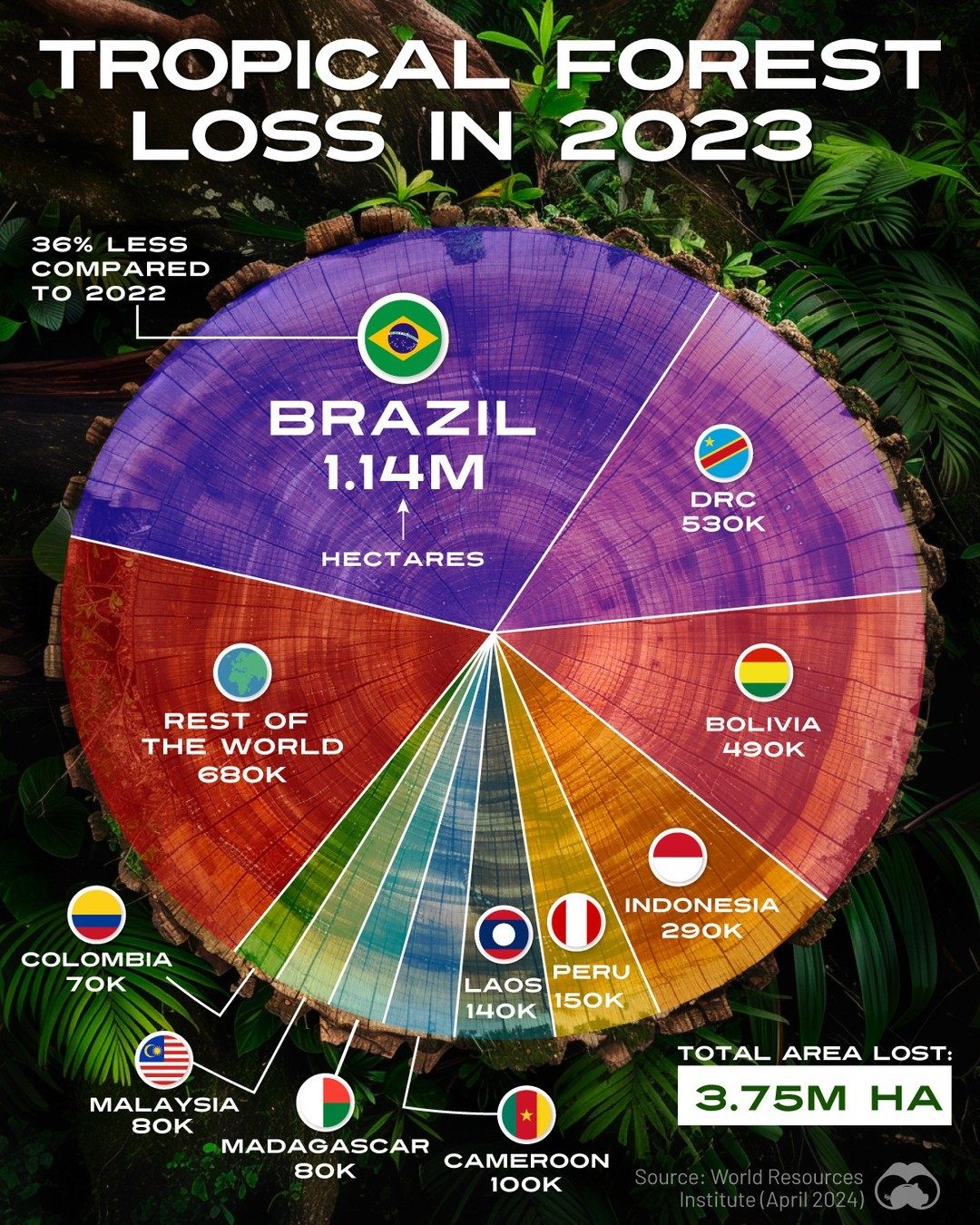 Brazil Leads 2023 Tropical Forest Loss Reduction