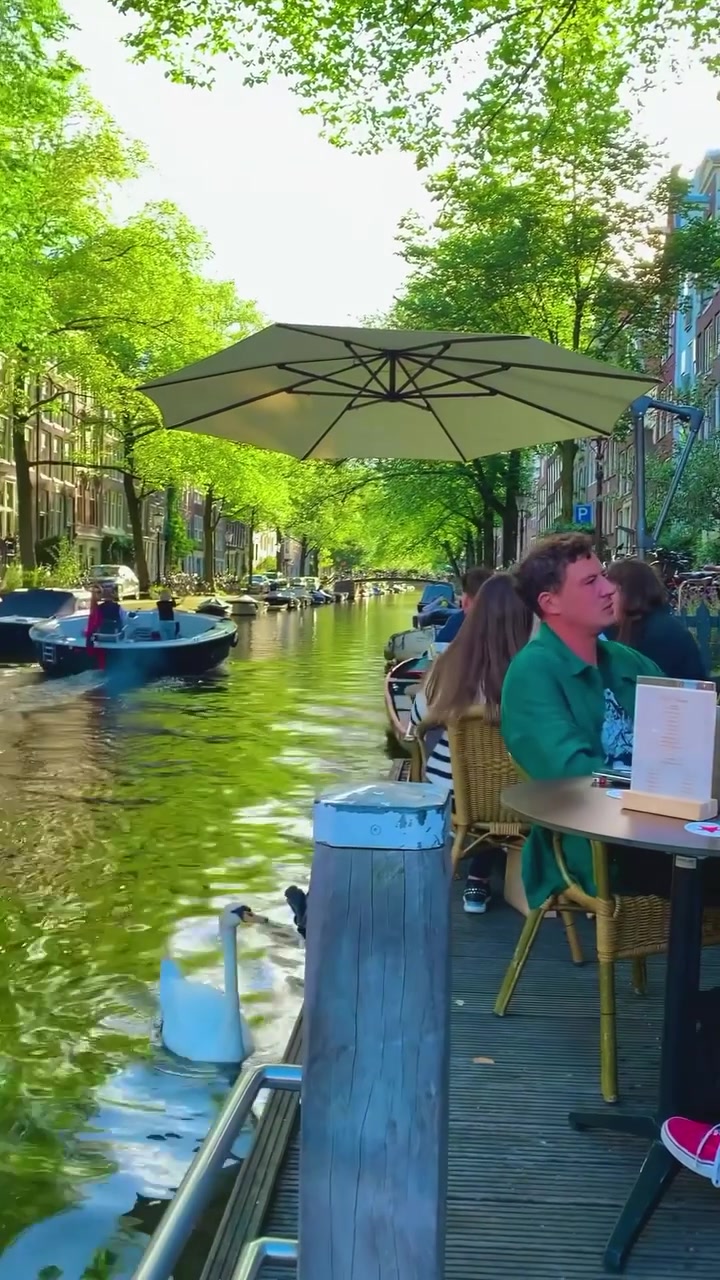 Amsterdam Canal Boat Ride With Dog