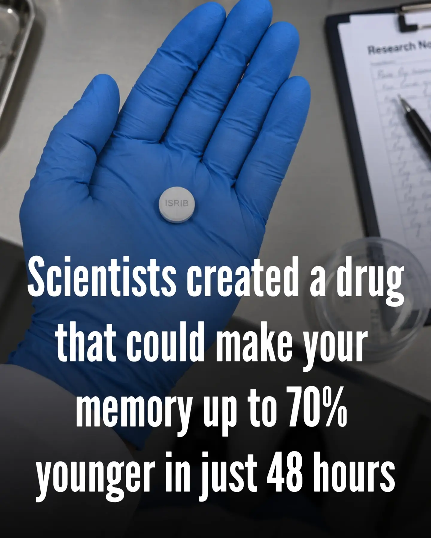 ISRRIB Memory Enhancement Drug: 70% Improvement in 48 Hours
