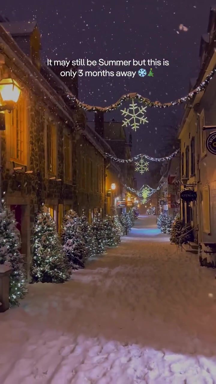 Explore the Magic of European Christmas Markets