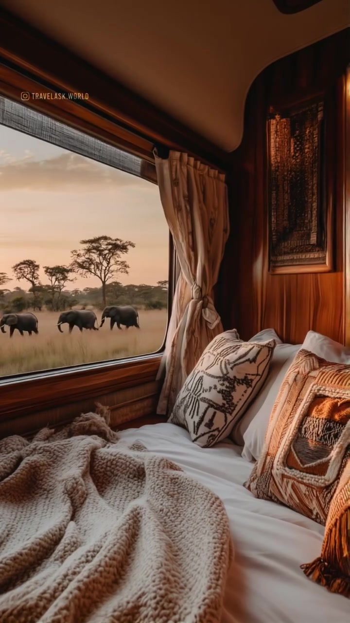 Experience Safari from Your Luxury Train Cabin