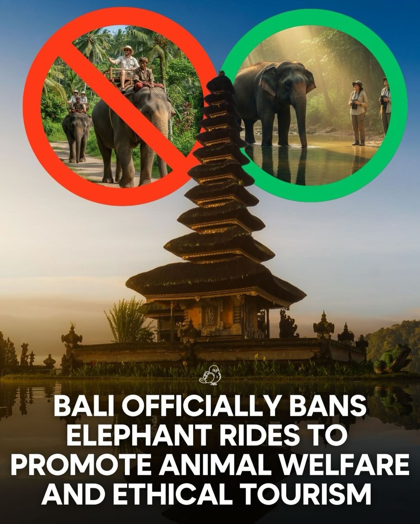 Bali Bans Elephant Rides to Promote Animal Welfare
