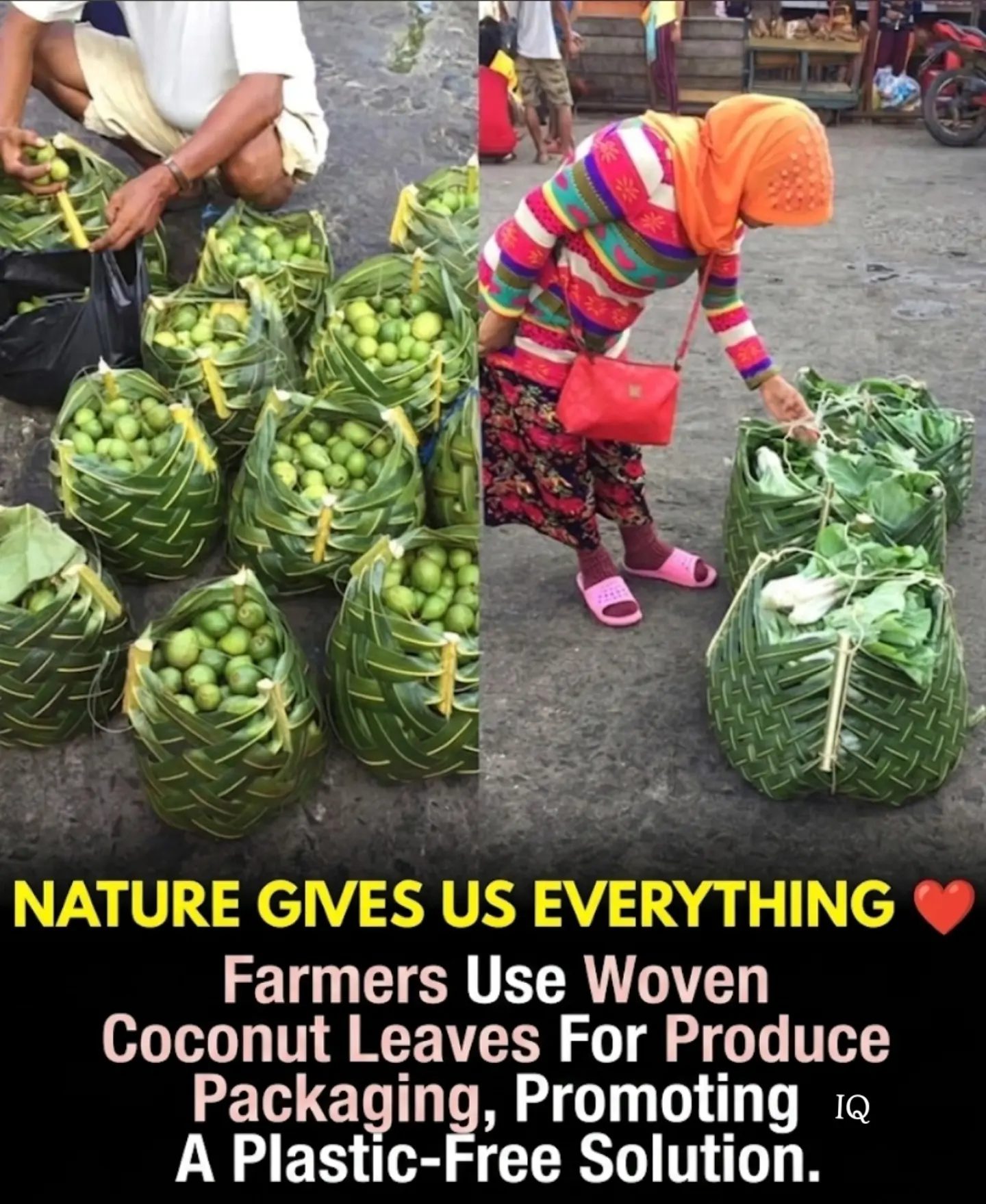 Farmers' Plastic-Free Solution: Coconut Leaf Packaging