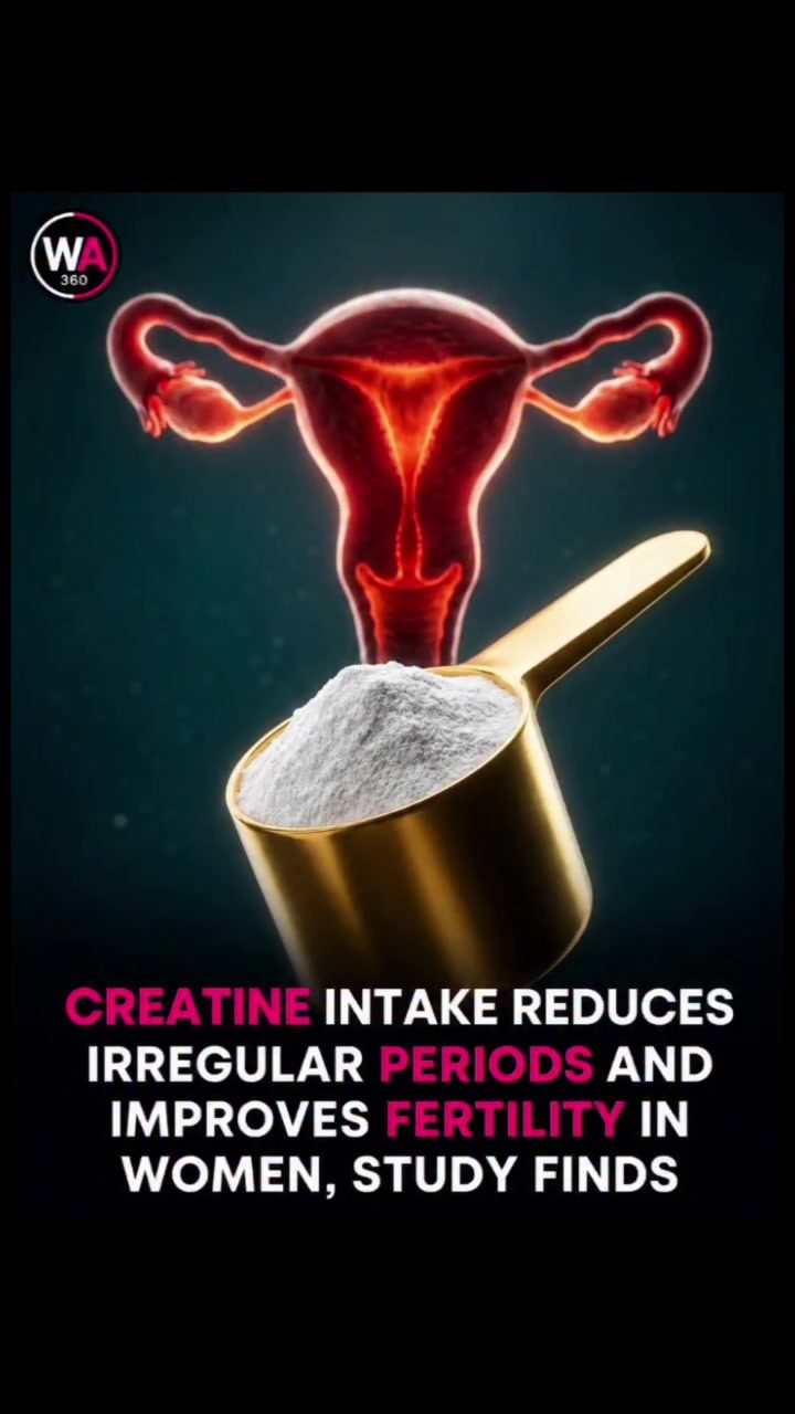 Creatine and its Potential Benefits for Women's Fertility