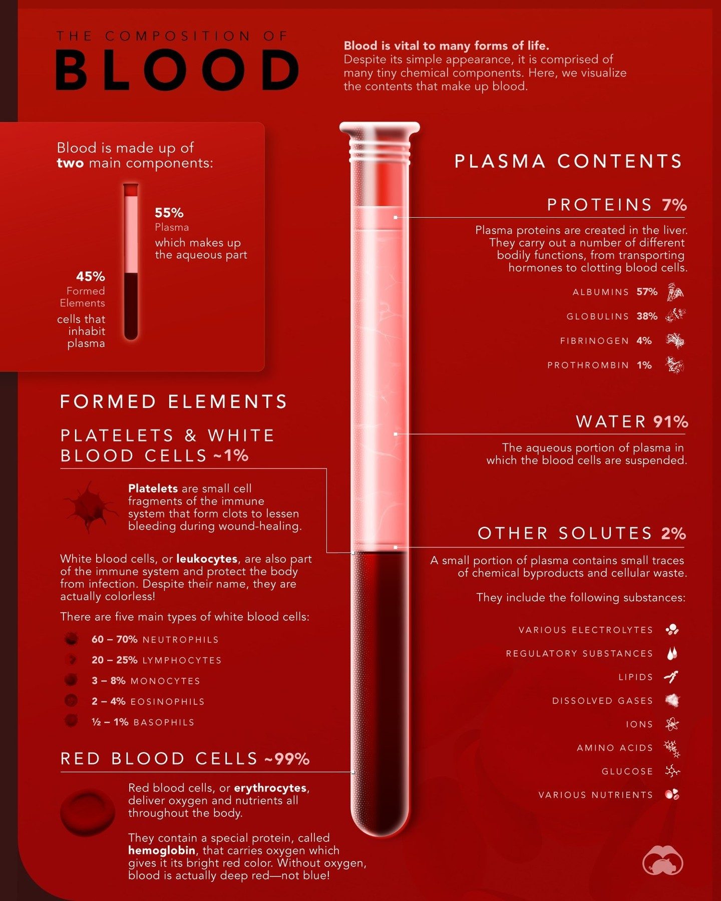 Here is the SEO title:

Blood Composition: Key Components and Functions