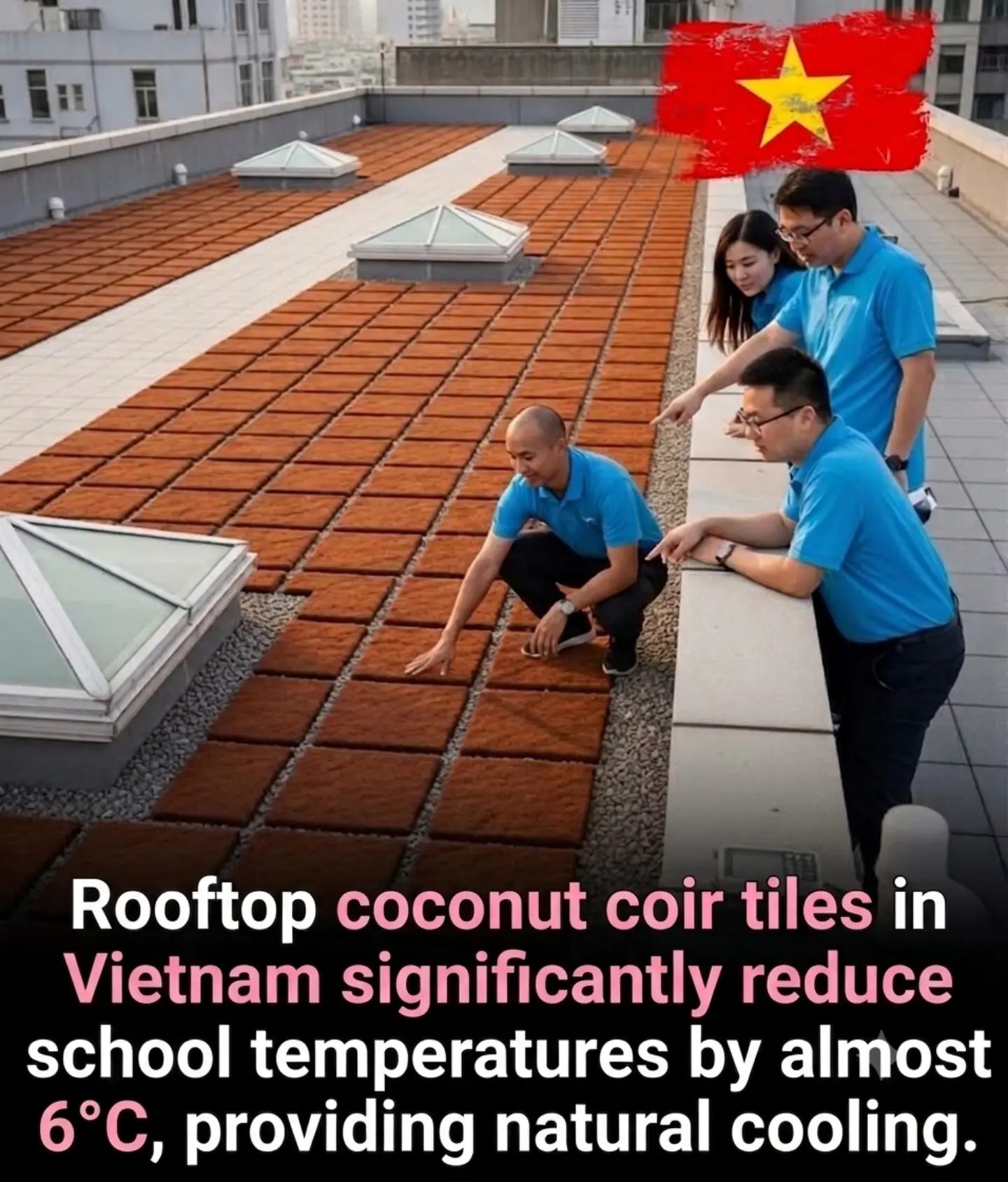 Coconut Coir Tiles: Vietnam's Natural Cooling Solution for Schools