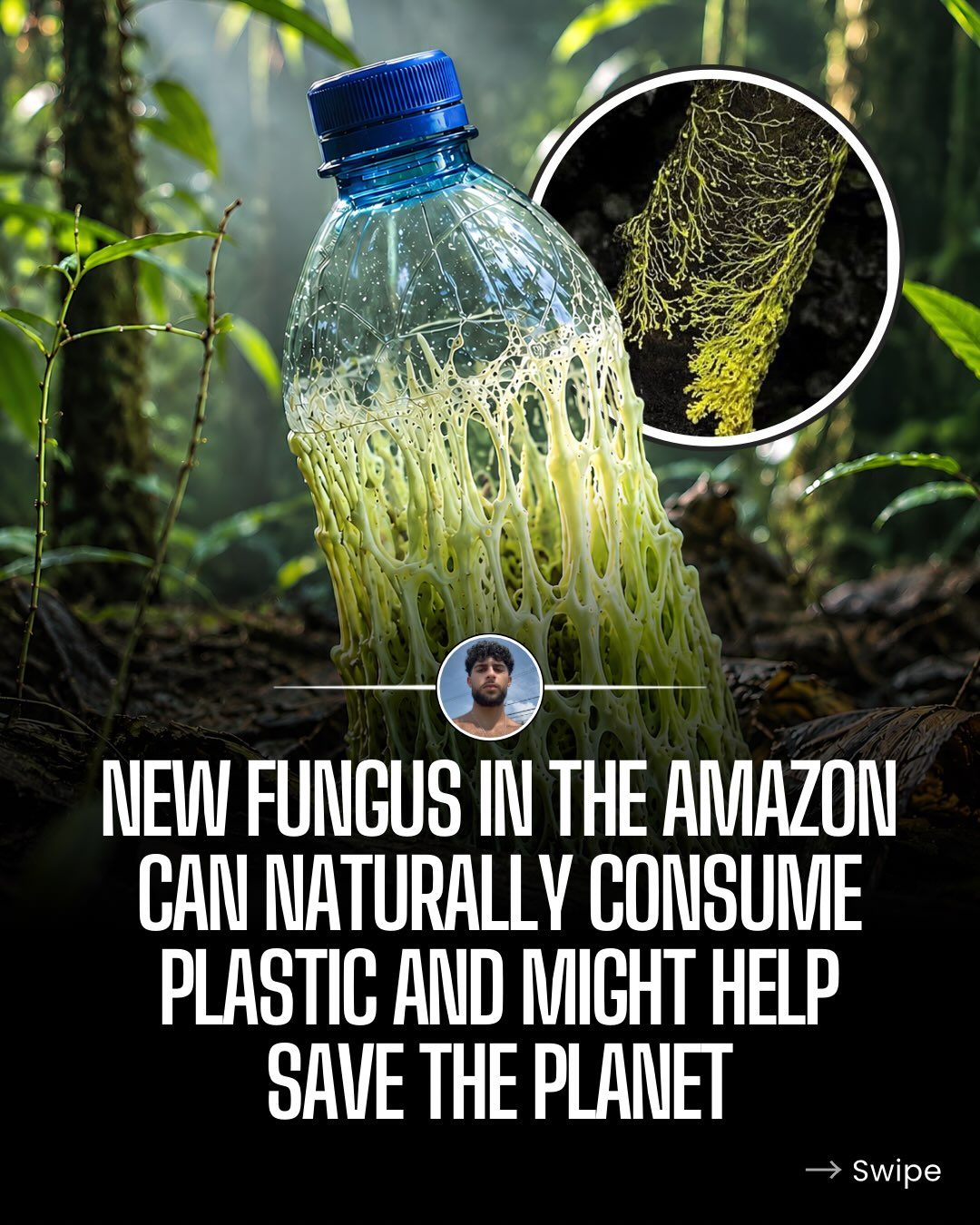 Fungus That Eats Plastic Offers Hope for Landfills