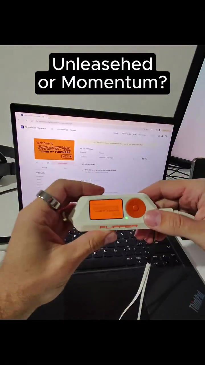 Flipper Zero: Unleashed vs. Momentum Firmware Update Guide